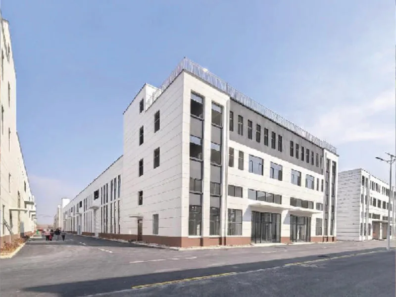 IY Fitness manufacturing facility in Dezhou, Shandong