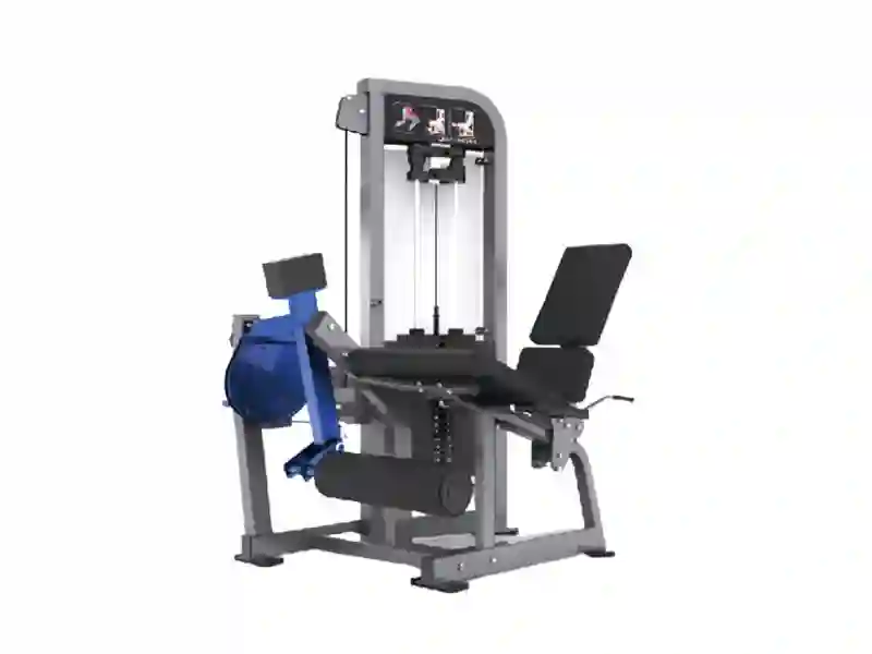 Leg Extension Trainer