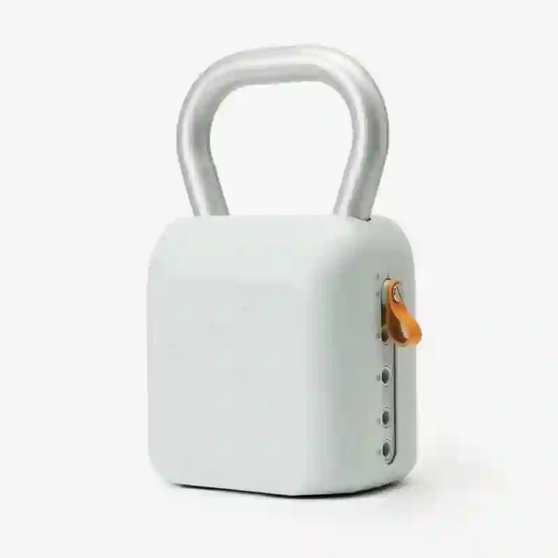 Adjustable Kettlebell