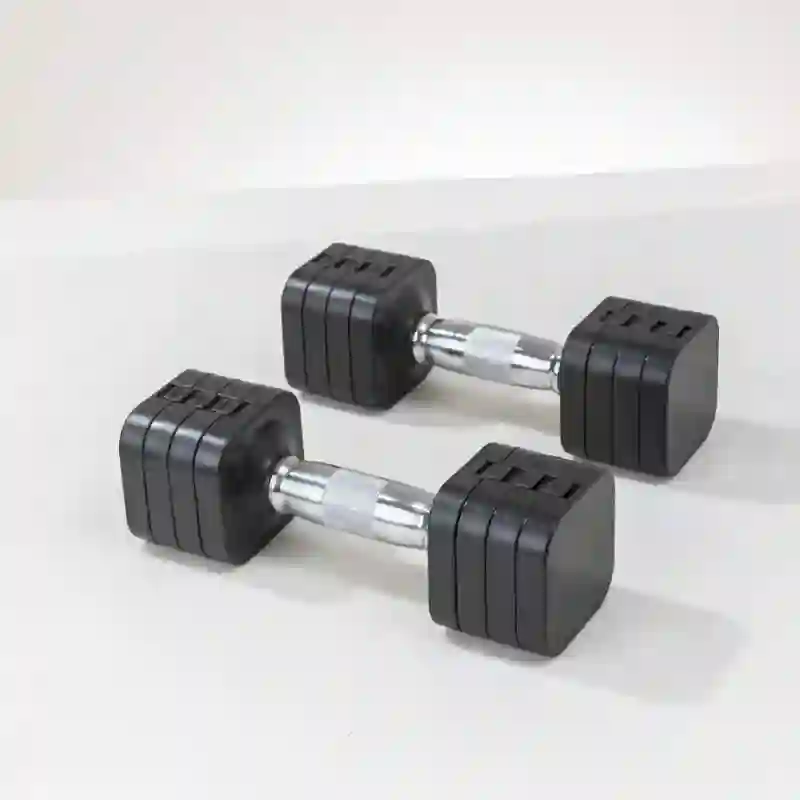 Painted Adjustable Dumbbell