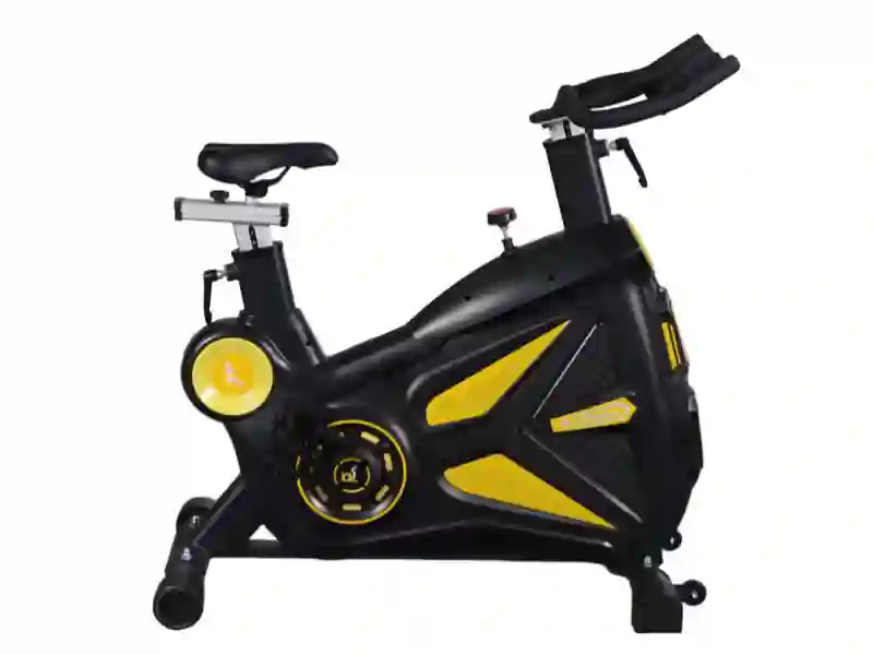 Roarer Exercise Bike