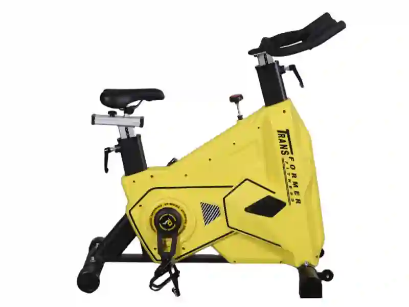 King Kong Exercise Bike