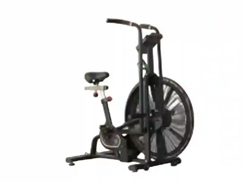 Fan Bike