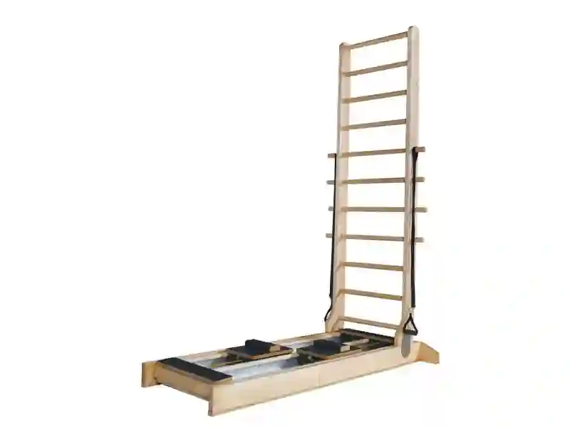 Dual-Function Ladder Reformer